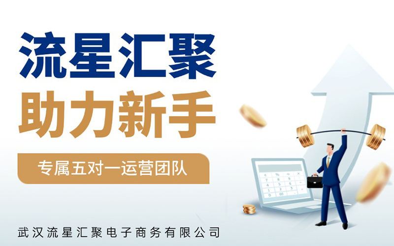 武汉流星汇聚：五对一服务专业赋能合作客户，驱动公司跨越式发展