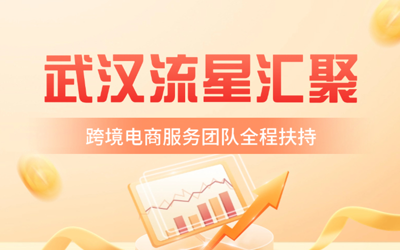 武汉流星汇聚：政策红利与产业升级，中国跨境电商携手共创外贸新潮流