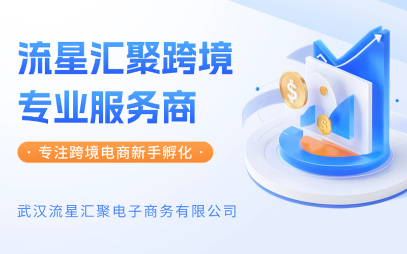 武汉流星汇聚：跨境电商链接海外，政策市场双驱动，助力中国企业出海