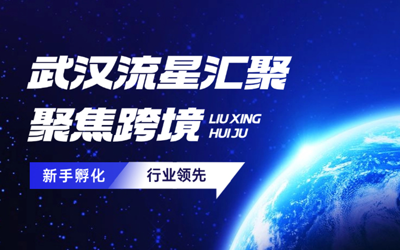 武汉流星汇聚：跨境电商平台第三方卖家销量创新高，行业迎来新机遇