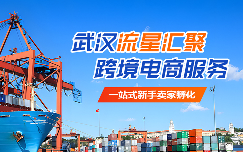 武汉流星汇聚：2025年海内外电商总额将破7万亿美元，海外市场无限商机