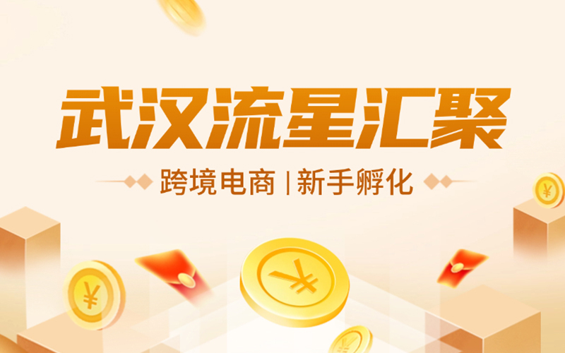 武汉流星汇聚：跨境电商扬帆拉美市场，引领中国时尚产业新蓝海