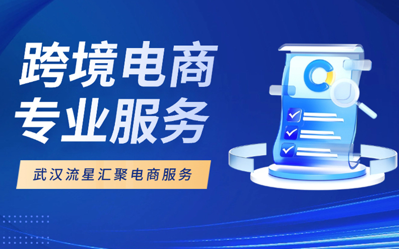 武汉流星汇聚：2025春促来袭，北美欧洲双站联动，跨境卖家迎销量爆发良机