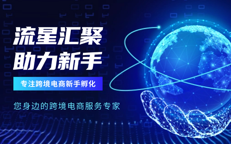 武汉流星汇聚：跨境电商平台2024年Q4财报亮眼，2025年Q1展望稳健增长