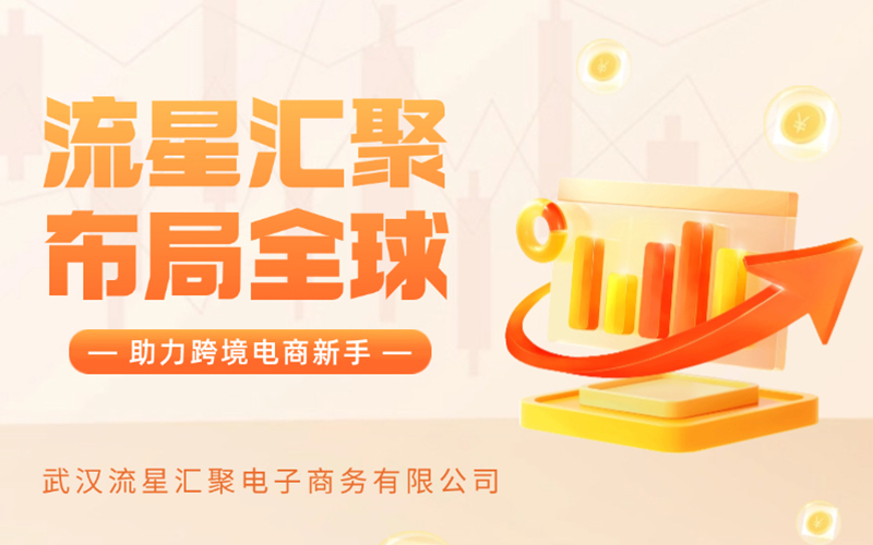 武汉流星汇聚：政策红利强动力，助力卖家扬帆出海，打造跨境电商新生态