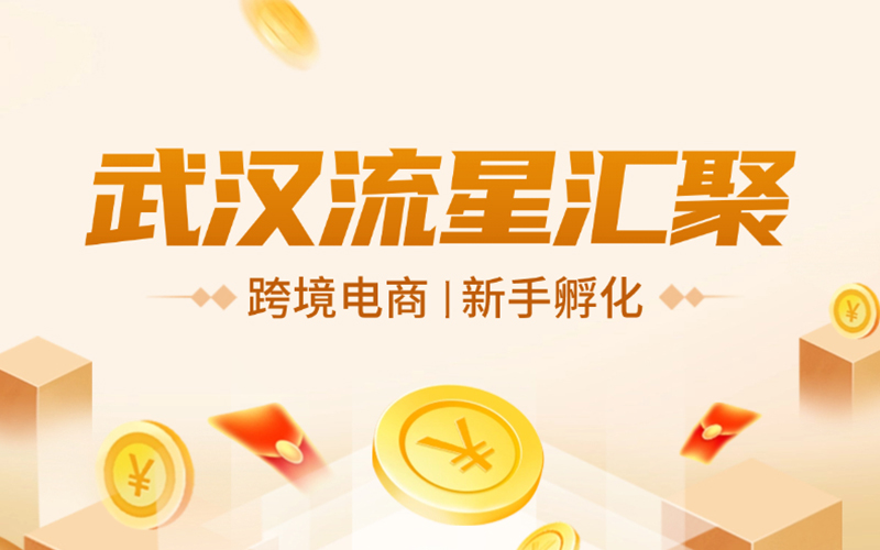 武汉流星汇聚：卓越一站式卖家孵化服务，引领跨境电商行业新风尚