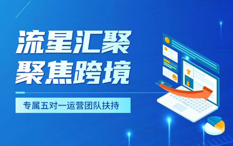 武汉流星汇聚：19大海外站点扶持，助力中国卖家欧美市场掘金