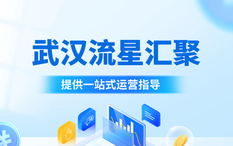 武汉流星汇聚：跨境电商迎来黄金期，新兴市场与消费升级共筑新篇章