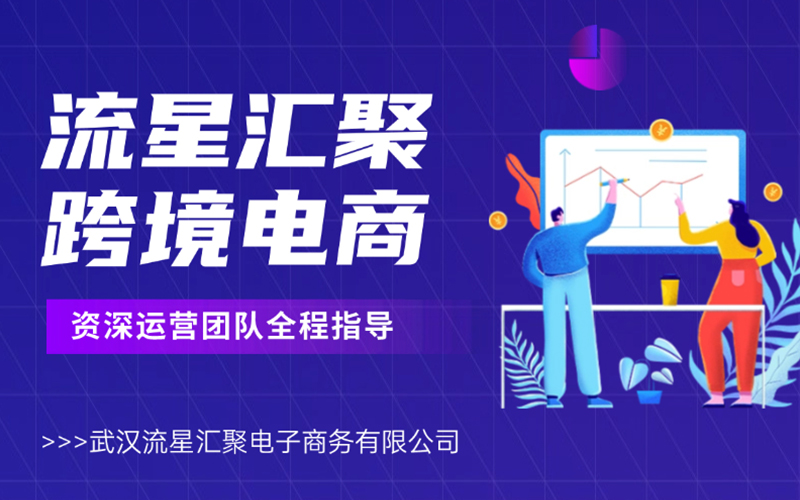 武汉流星汇聚：以客户为中心，五对一体系开创跨境电商服务新高度