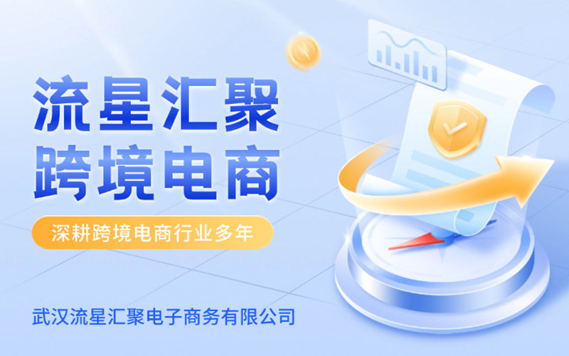 武汉流星汇聚：政策助力海外市场拓展，自营+孵化服务领航新趋势