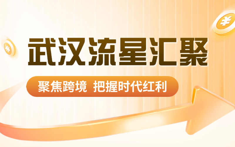 武汉流星汇聚：五对一服务，自营实战经验，助力跨境新手卖家腾飞