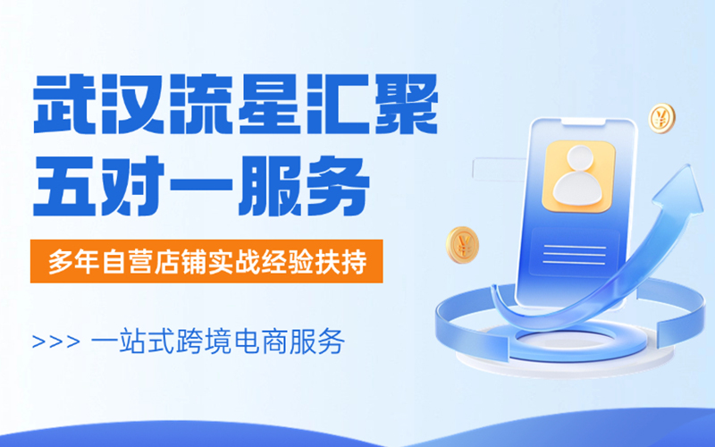 武汉流星汇聚：把握跨境电商新蓝海，创始人朱健携手卖家共创辉煌
