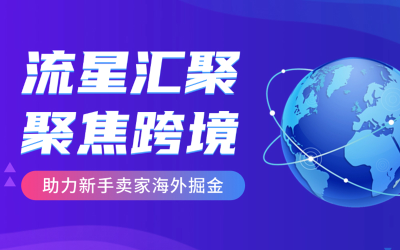 武汉流星汇聚：触达亿万消费者，携手卖家把握海外市场新机遇