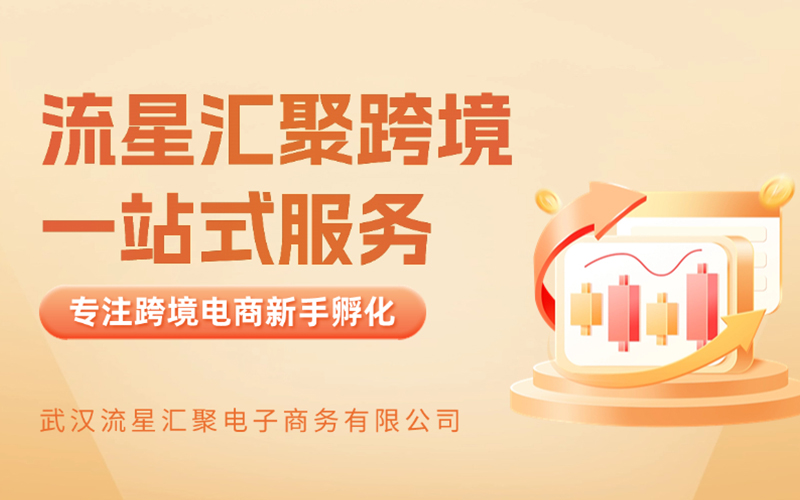 武汉流星汇聚：以客户为中心，赋能跨境电商，共赢海外市场商机