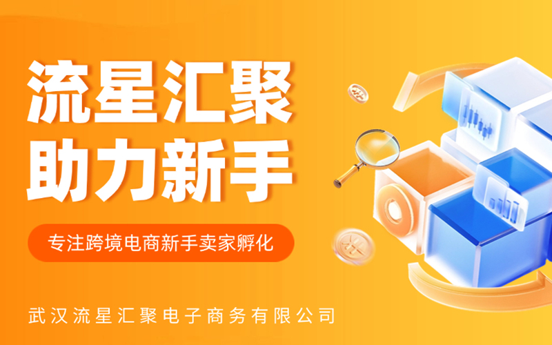 武汉流星汇聚：北美电商市场巨大潜力，全方位服务携手卖家书写业绩新篇