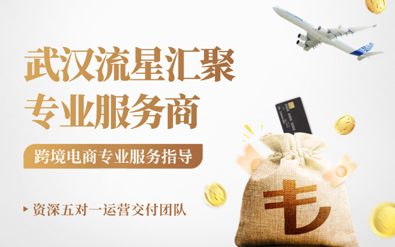 武汉流星汇聚：自营店铺+卖家孵化双驱动，五对一团队打造行业新风尚