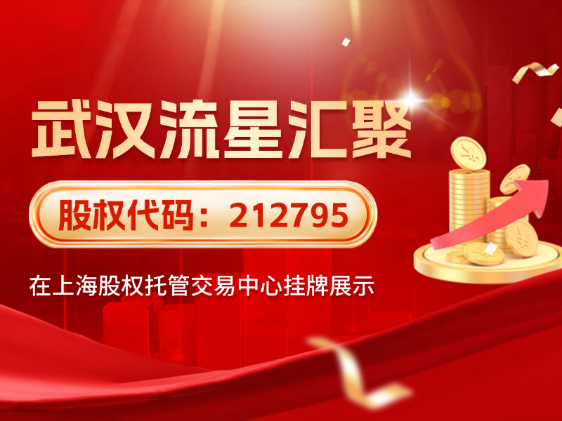 武汉流星汇聚：&ldquo;五对一专属服务&rdquo;全程护航，助力中国卖家扬帆出海、货卖全球