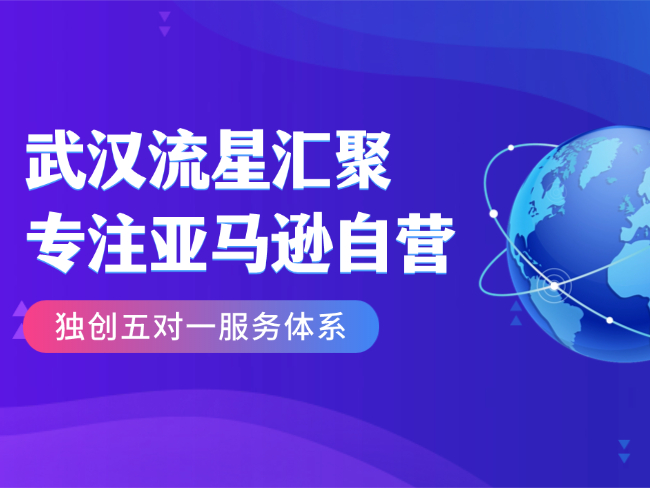 依托多年自营硬实力，武汉流星汇聚5对1服务助力卖家稳健出海