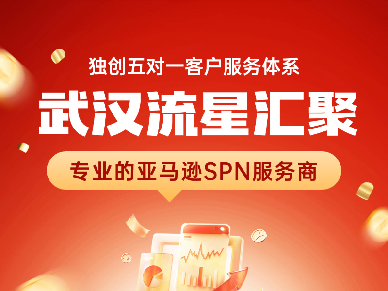 从卖家到SPN服务商：武汉流星汇...